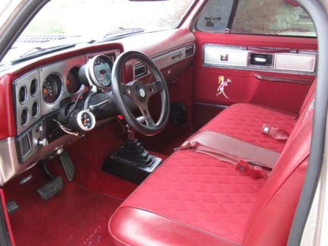 1979 Pewter Chevrolet Silverado 1500 --