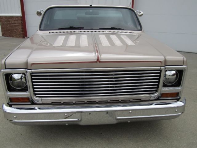 1979 Pewter Chevrolet Silverado 1500 --