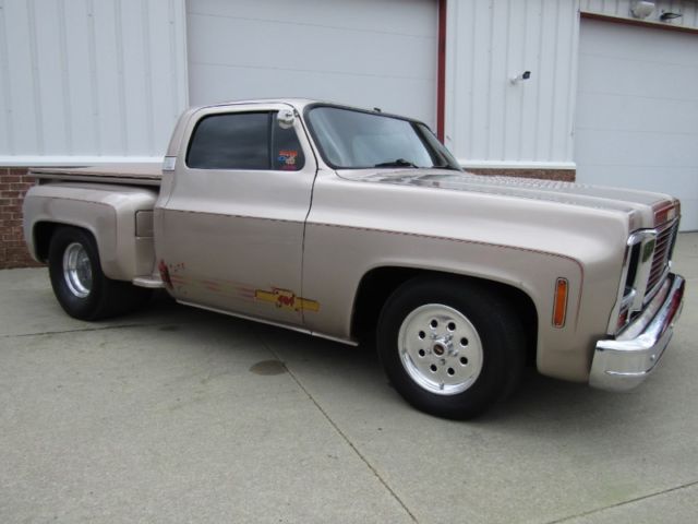 1979 Pewter Chevrolet Silverado 1500 --