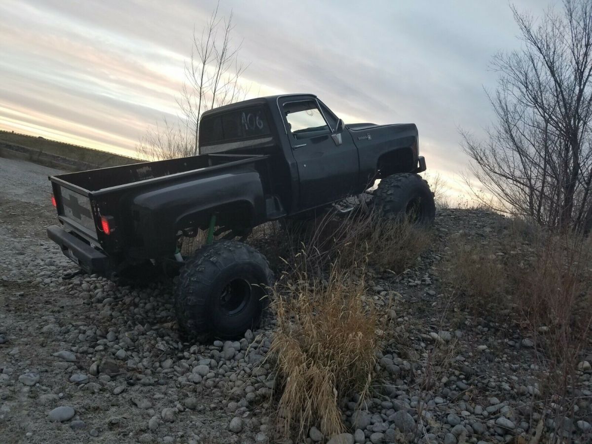 1979 Black Chevrolet C-10