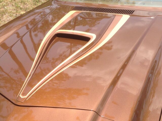 1979 Brown Chevrolet Camaro