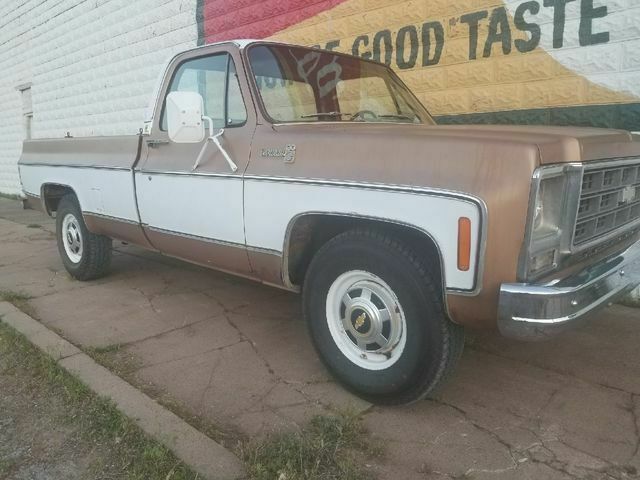1979 Brown Chevrolet C/K Pickup 2500 Standard Cab Pickup