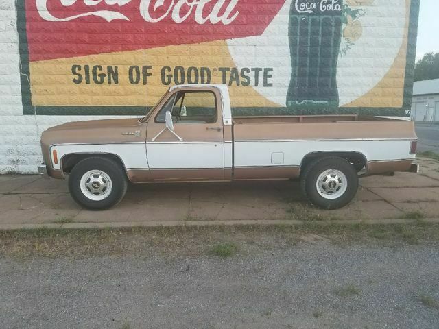1979 Brown Chevrolet C/K Pickup 2500 Standard Cab Pickup