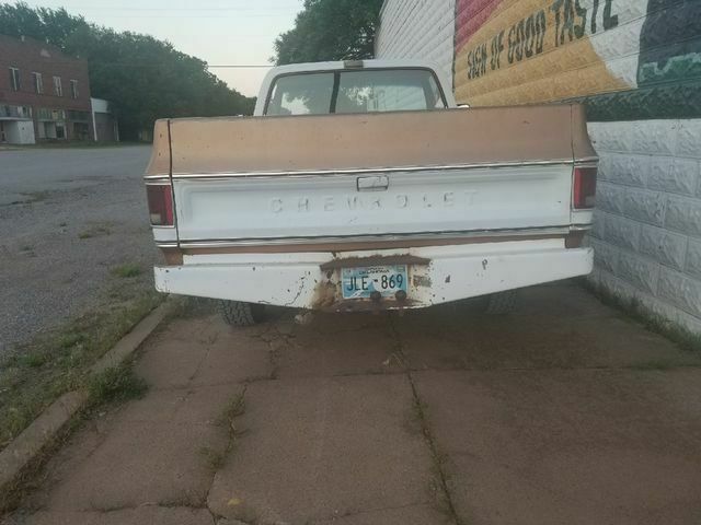 1979 Brown Chevrolet C/K Pickup 2500 Standard Cab Pickup