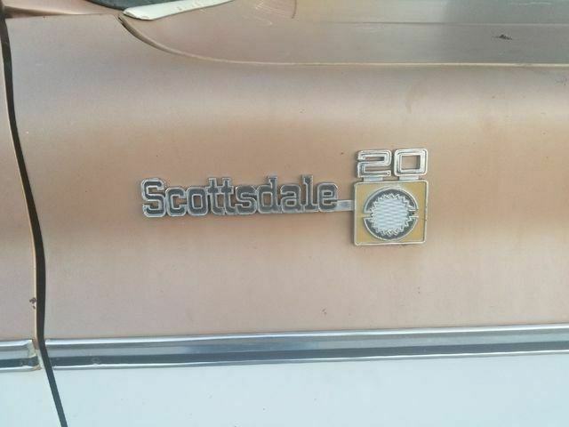 1979 Brown Chevrolet C/K Pickup 2500 Standard Cab Pickup