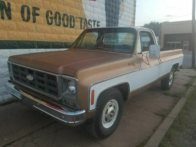 1979 Brown Chevrolet C/K Pickup 2500 Standard Cab Pickup
