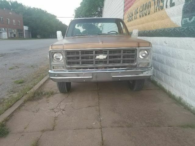 1979 Brown Chevrolet C/K Pickup 2500 Standard Cab Pickup
