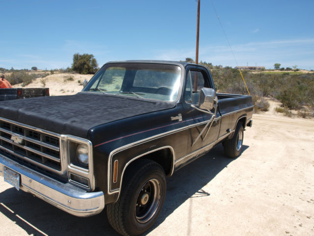 1979 Black Chevrolet Silverado 2500 c20