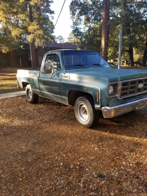 1979 Blue Chevrolet C-10 Standard Cab Pickup
