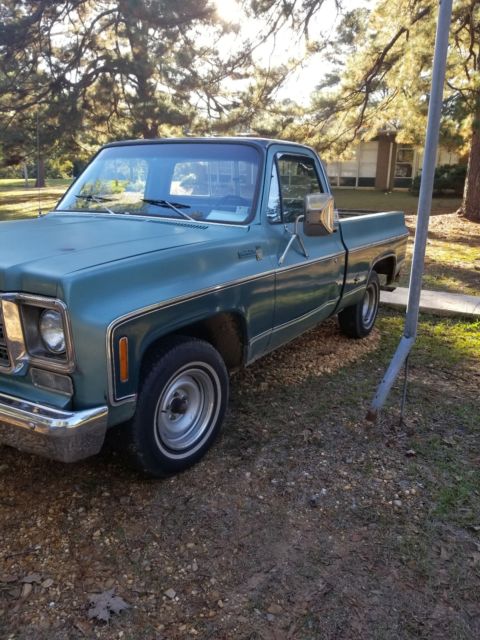 1979 Blue Chevrolet C-10 Standard Cab Pickup