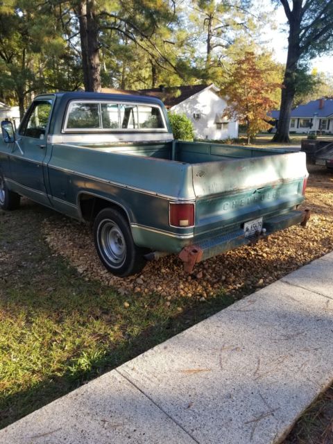 1979 Blue Chevrolet C-10 Standard Cab Pickup