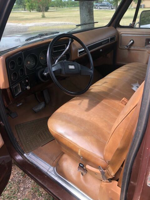 1979 Chevrolet Other Pickups