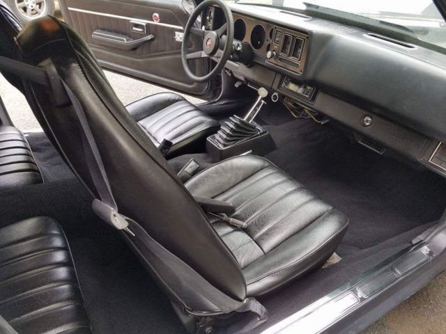 1979 Platinum Metallic Chevrolet Camaro Coupe