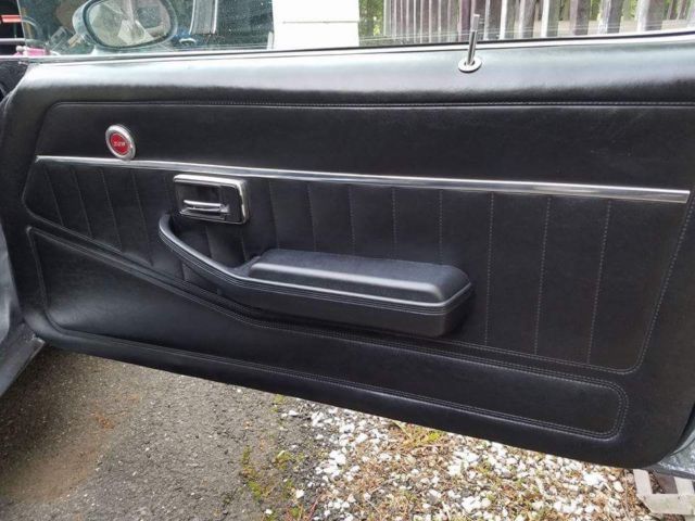 1979 Platinum Metallic Chevrolet Camaro Coupe