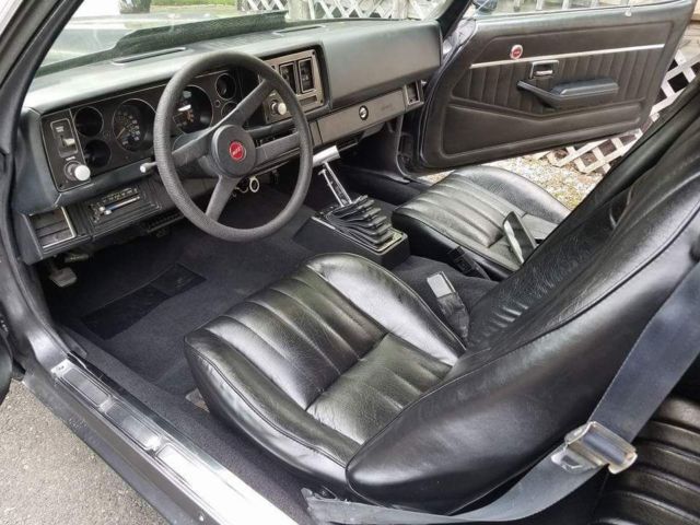 1979 Platinum Metallic Chevrolet Camaro Coupe