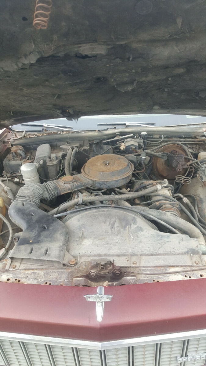 1979 Gray Chevrolet Caprice Sedan