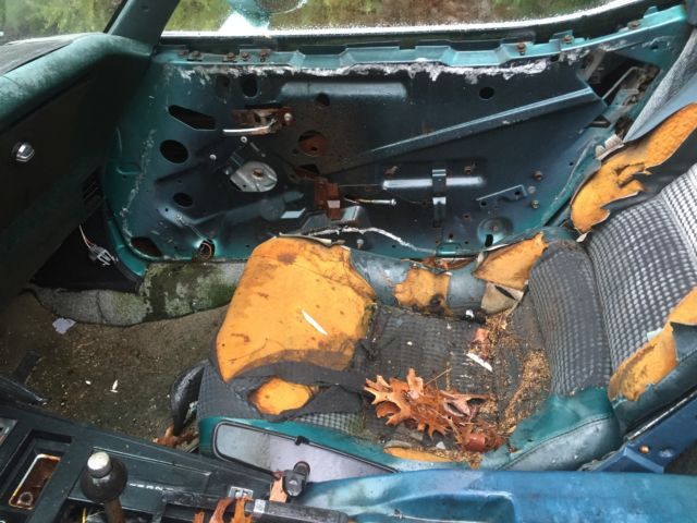 1979 greenish Chevrolet Corvette