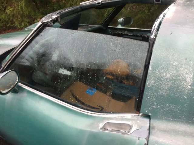 1979 greenish Chevrolet Corvette