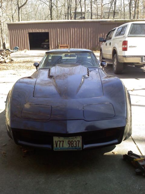 1979 Black Chevrolet Corvette Coupe with Mirror Glass T-Tops