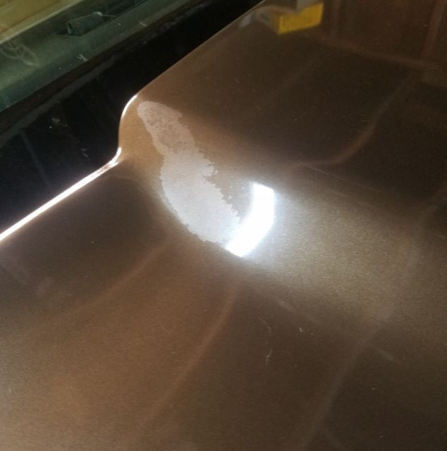 1979 Brown Chevrolet Corvette Coupe