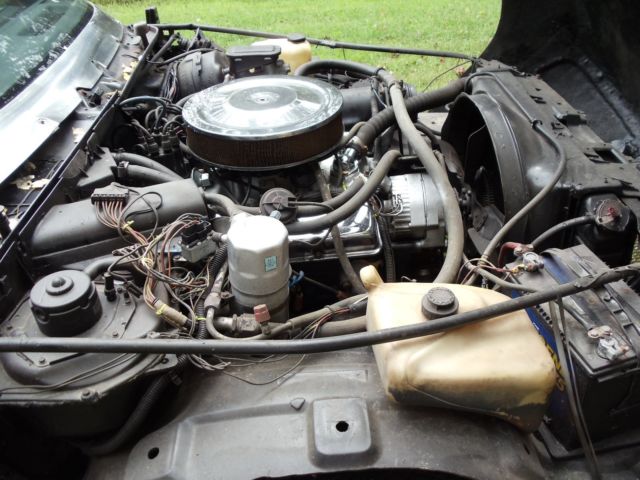 1979 Red Chevrolet Malibu delivery wagon