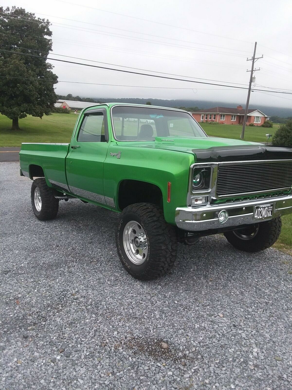 1979 Green Chevrolet C-10 Standard Cab Pickup
