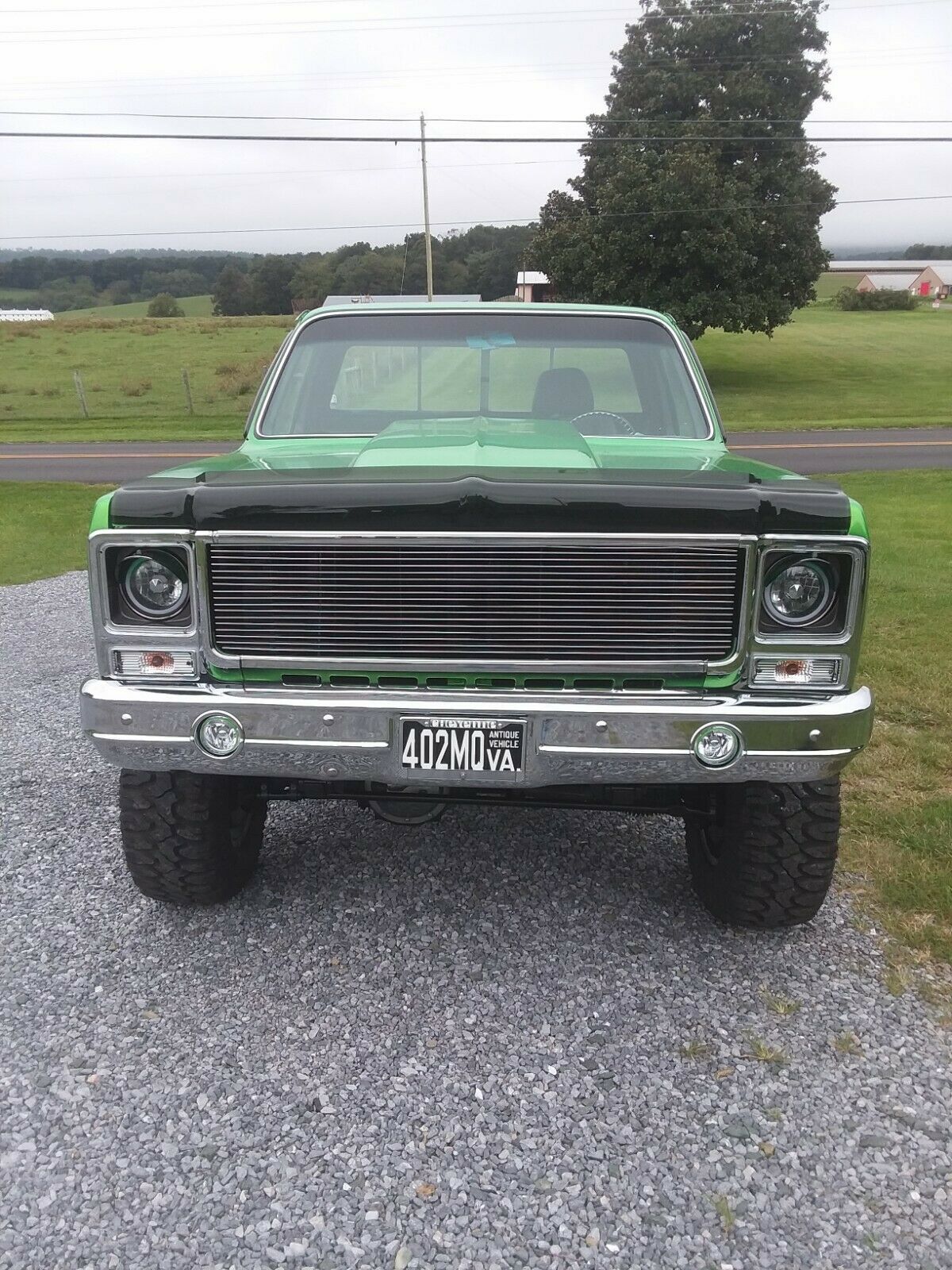 1979 Green Chevrolet C-10 Standard Cab Pickup