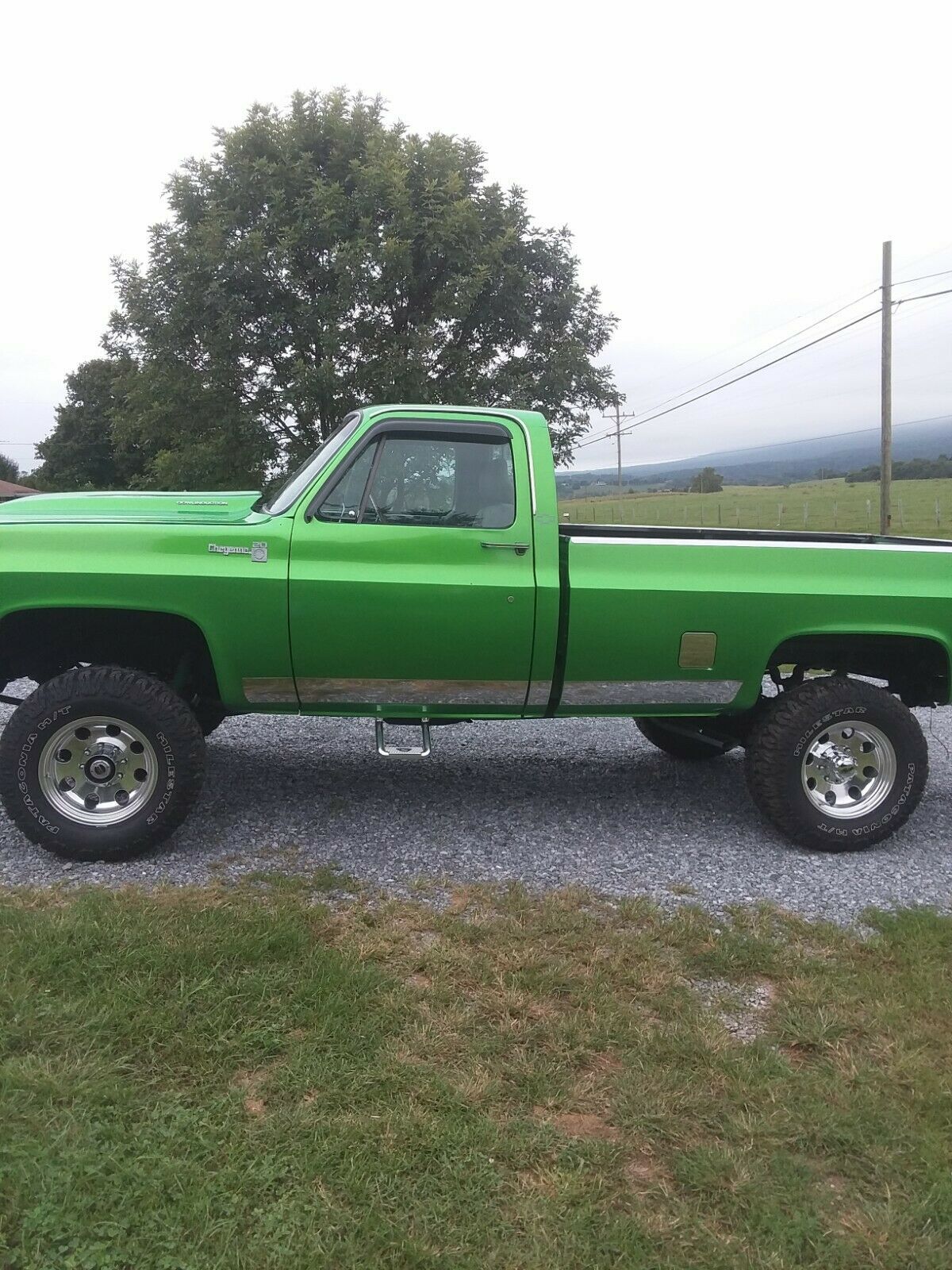1979 Green Chevrolet C-10 Standard Cab Pickup
