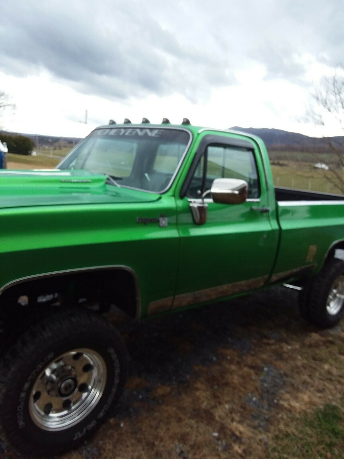 1979 Green Chevrolet C-10 Standard Cab Pickup
