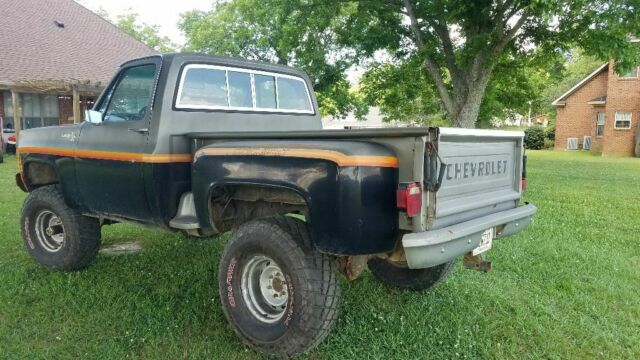 1979 Mystic Silver Chevrolet C/K Pickup 1500 Standard Cab Pickup