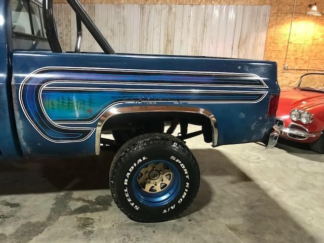 1979 Blue Chevrolet Other Pickups truck