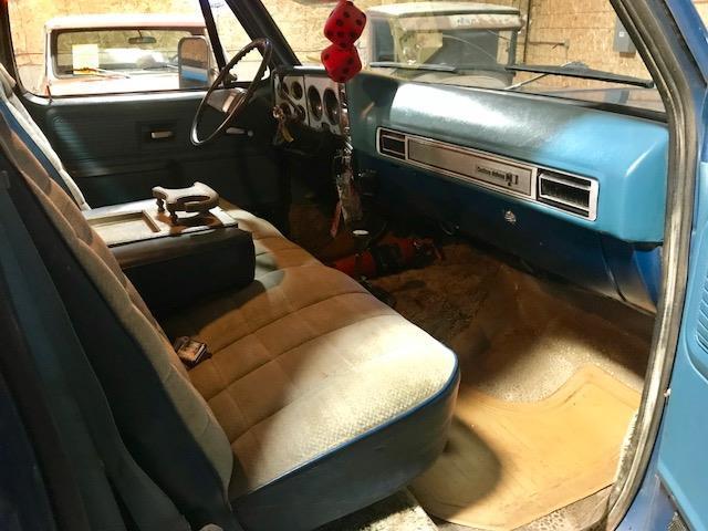 1979 Blue Chevrolet Other Pickups truck