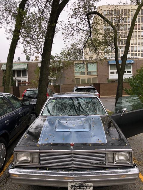 1979 Chevrolet Malibu Coupe