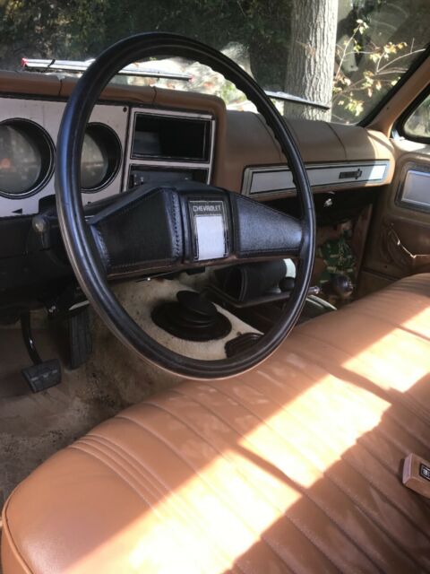 1979 Chevrolet C-10