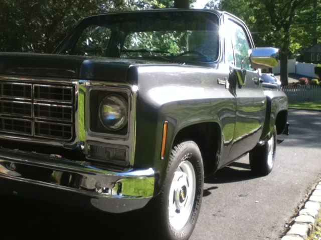 1979 Gray Chevrolet Other Pickups Step Side Pickup