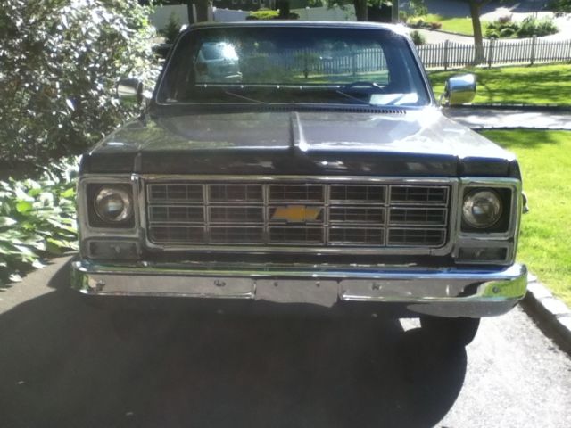 1979 Gray Chevrolet Other Pickups Step Side Pickup