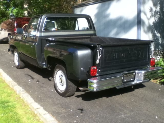 1979 Gray Chevrolet Other Pickups Step Side Pickup