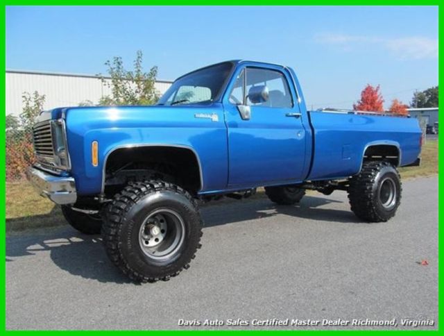 1979 Blue Chevrolet Other