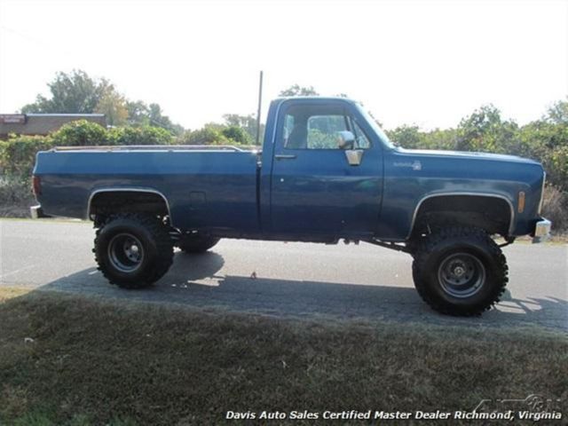 1979 Blue Chevrolet Other