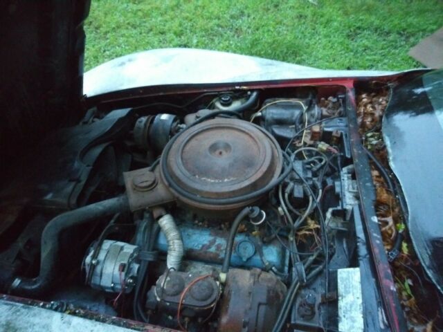 1979 Chevrolet Corvette