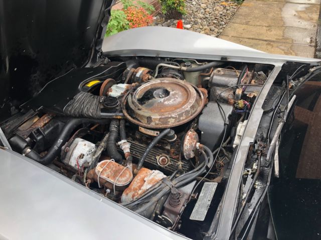 1979 Silver Chevrolet Corvette Coupe