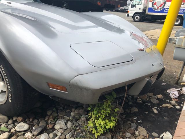 1979 Silver Chevrolet Corvette Coupe