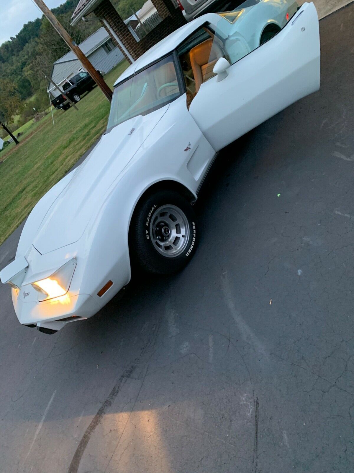 1979 Chevrolet Corvette