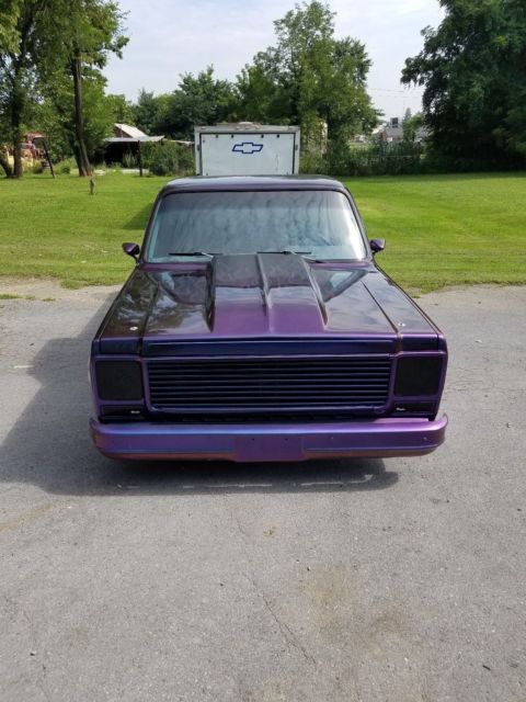 1979 Chevrolet C/K Pickup 1500 Standard Cab Pickup