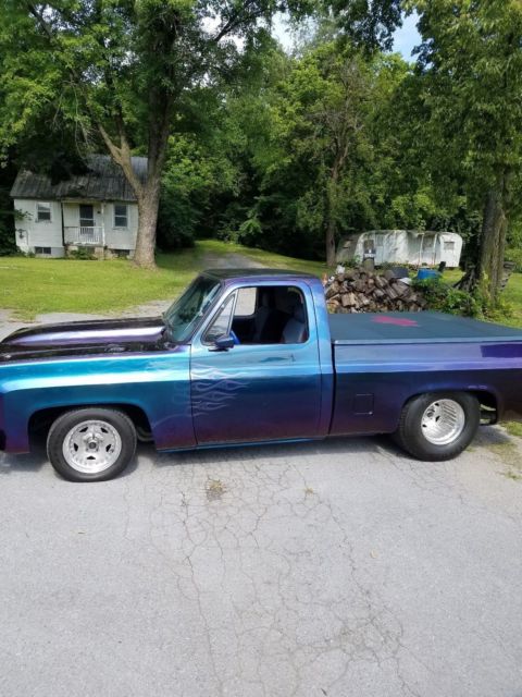 1979 Chevrolet C/K Pickup 1500 Standard Cab Pickup