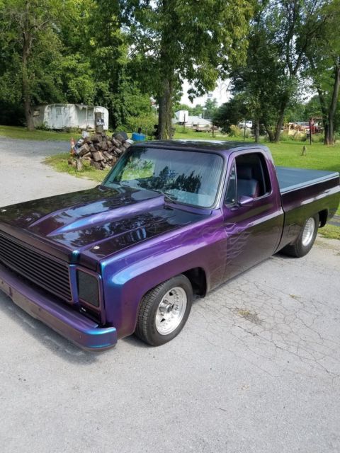 1979 Chevrolet C/K Pickup 1500 Standard Cab Pickup