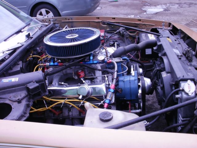 1979 white/gold Oldsmobile Other Coupe