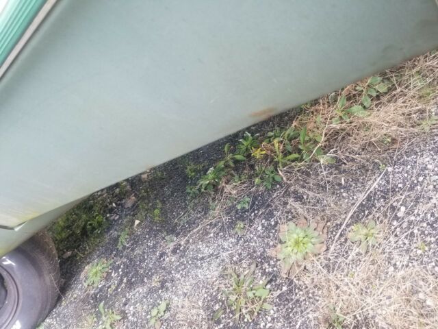 1979 Green Dodge Other Pickups Pick up