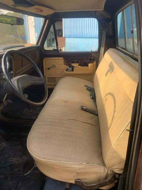 1979 Brown Ford F-150