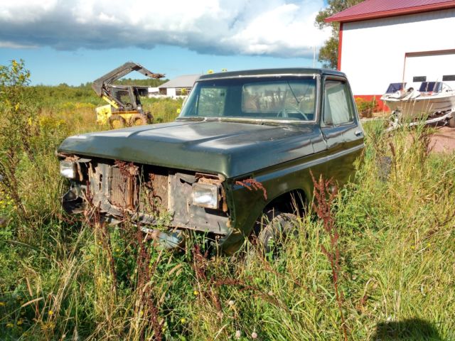 1979 Green Ford F-150 Standard Cab Pickup